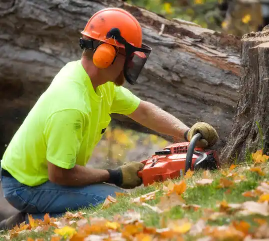 tree services Frenchburg